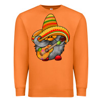 Carrot mexicon cute gnome Premium Sweatshirt - RacoonDesign