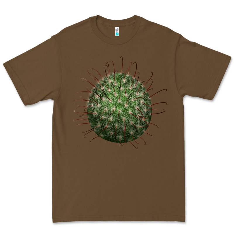 Arizona Fishhook Cactus Premium Tee by LillyAllenDesigns | Teevron