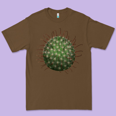 Arizona Fishhook Cactus Premium Tee Designed By Lillyallendesigns