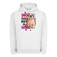 Pigment Lunar Rock 100 days of school Urban Hoodie - MaliasSmallBusiness