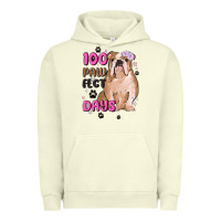 Pigment Pistachio 100 days of school Urban Hoodie - MaliasSmallBusiness