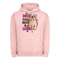 Pigment Salmon 100 days of school Urban Hoodie - MaliasSmallBusiness