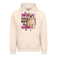 Sandshell 100 days of school Urban Hoodie - MaliasSmallBusiness