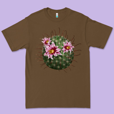 Arizona Fishhook Cactus Premium Tee Designed By Lillyallendesigns