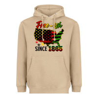 Mushroom free ish since 1865 Heavyweight Hoodie - HRA Design Shop