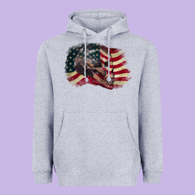 Red White Rawr 4th Of July Heavyweight Hoodie Designed By Cowgirlartshop