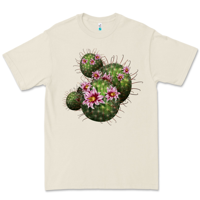 Arizona Fishhook Cacti Premium Tee by LillyAllenDesigns | Teevron