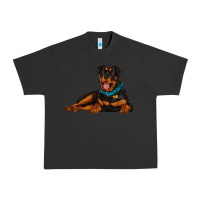 Pigment Black rottweiler Urban Heavy Tee - Artiststas