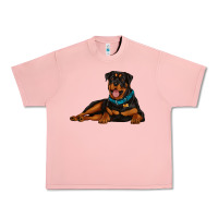 Salmon rottweiler Urban Heavy Tee - Artiststas