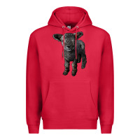 Cardinal southdown baby sheep Premium Hoodie - LillyAllenDesigns