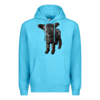 Ocean Blue southdown baby sheep Premium Hoodie - LillyAllenDesigns