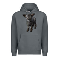 Rock southdown baby sheep Premium Hoodie - LillyAllenDesigns