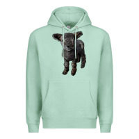 Seafoam southdown baby sheep Premium Hoodie - LillyAllenDesigns