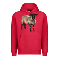Cardinal suffolk ewe Premium Hoodie - BarkalooDesign