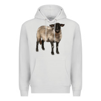 Dove Grey suffolk ewe Premium Hoodie - BarkalooDesign