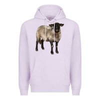 Lilac suffolk ewe Premium Hoodie - BarkalooDesign
