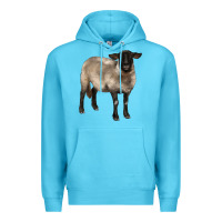 Ocean Blue suffolk ewe Premium Hoodie - BarkalooDesign