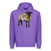 Purple suffolk ewe Premium Hoodie - BarkalooDesign