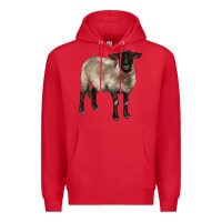 Red suffolk ewe Premium Hoodie - BarkalooDesign