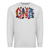 Dove Grey cna america Premium Sweatshirt - RacoonDesign