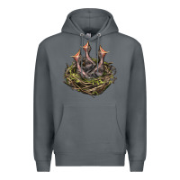 Rock Bird Nest With Baby Birds Premium Hoodie - LillyAllenDesigns