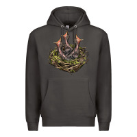 Smoke Bird Nest With Baby Birds Premium Hoodie - LillyAllenDesigns
