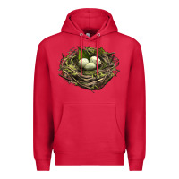 Cardinal Bird Nest With Eggs Premium Hoodie - LillyAllenDesigns