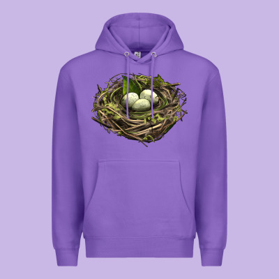 Bird Nest With Eggs Premium Hoodie Designed By Lillyallendesigns