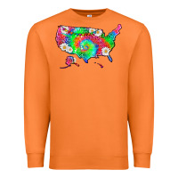 Carrot lgbtq america map Premium Sweatshirt - HRA Design Shop