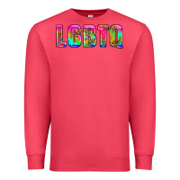 Cardinal lgbtq Premium Sweatshirt - HRA Design Shop