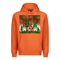 Carrot Christmas gnomes Premium Hoodie - Jasminsmagicworld