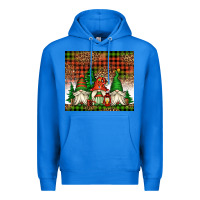 True Royal Christmas gnomes Premium Hoodie - Jasminsmagicworld