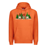 Carrot Christmas gnomes Premium Hoodie - Jasminsmagicworld