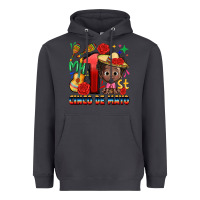 Smoke my 1st cinco de mayo Heavyweight Hoodie - CTS Tumbler Store