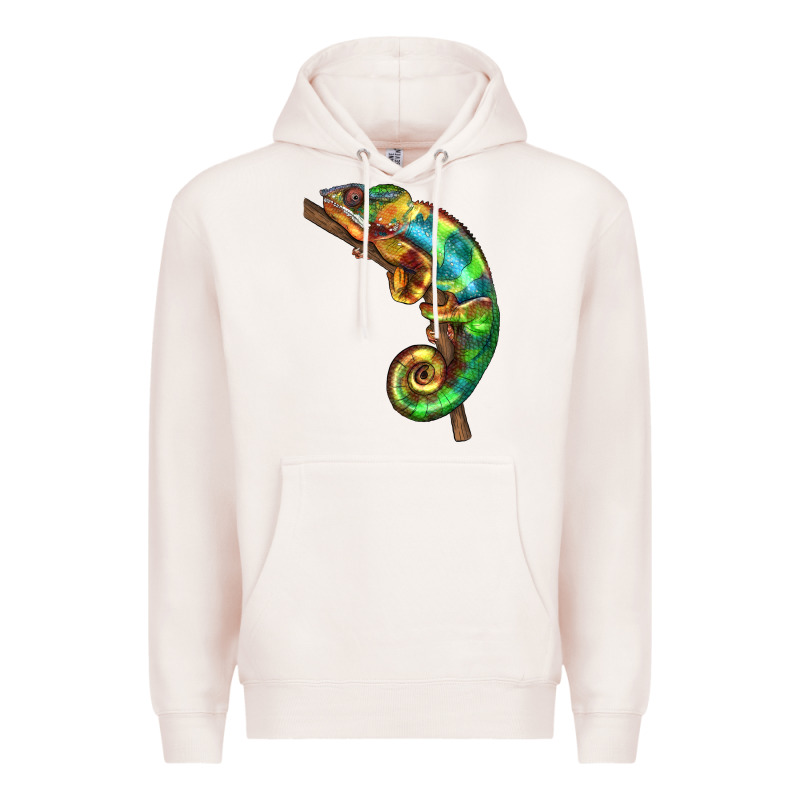 Chameleon Lizard Illustrations Premium Hoodie by LillyAllenDesigns | Teevron