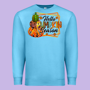 Hello Pumpkin Season Premium Sweatshirt Designed By Racoondesign