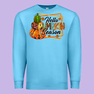 Hello Pumpkin Season Premium Sweatshirt Designed By Racoondesign