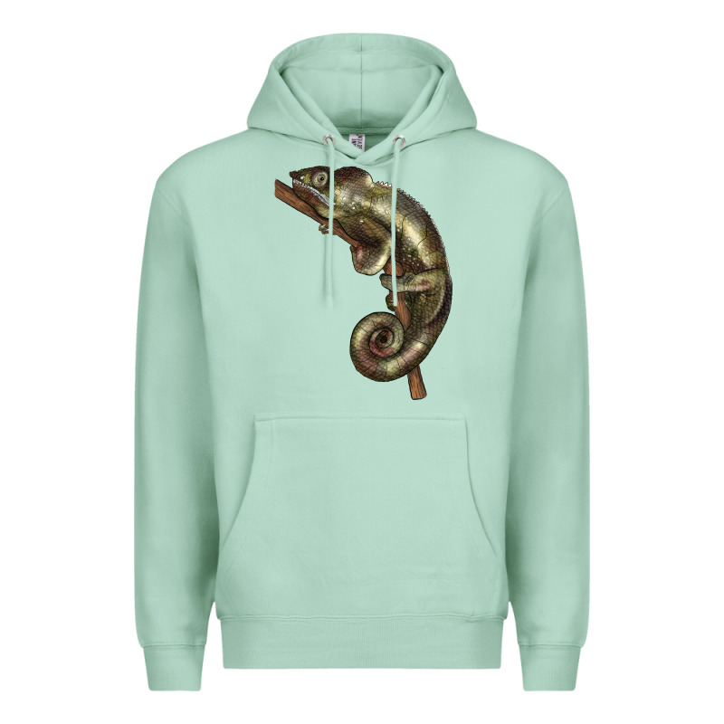 Green Chameleon Lizard Illustrations Premium Hoodie by LillyAllenDesigns | Teevron