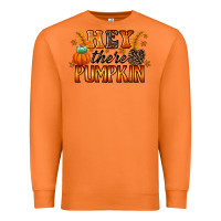 Carrot hey there pumpkin Premium Sweatshirt - RacoonDesign