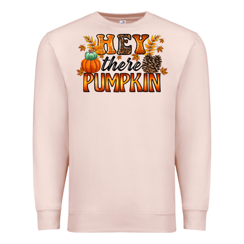 Hey There Pumpkin Premium Sweatshirt by RacoonDesign | Teevron