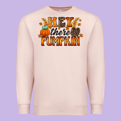 Hey There Pumpkin Premium Sweatshirt Designed By Racoondesign