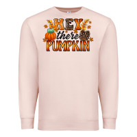 Pale Pink hey there pumpkin Premium Sweatshirt - RacoonDesign
