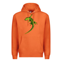 Carrot Green Lizard Illustrations Premium Hoodie - LillyAllenDesigns
