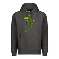 Charcoal Heather Green Lizard Illustrations Premium Hoodie - LillyAllenDesigns