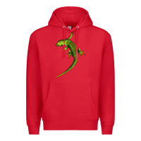 Red Green Lizard Illustrations Premium Hoodie - LillyAllenDesigns