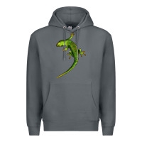 Rock Green Lizard Illustrations Premium Hoodie - LillyAllenDesigns