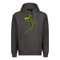 Smoke Green Lizard Illustrations Premium Hoodie - LillyAllenDesigns