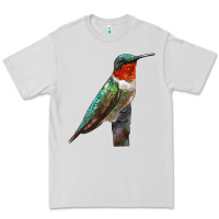 Dove Grey Ruby Throated Hummingbird Bird Premium Tee - LillyAllenDesigns
