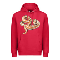 Cardinal Rosy Boa Snake Illustrations Premium Hoodie - LillyAllenDesigns