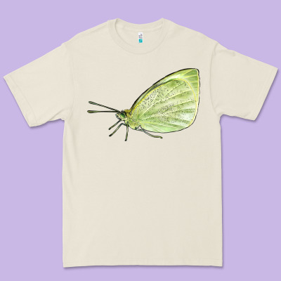 Cabbage White Butterfly Premium Tee Designed By Lillyallendesigns